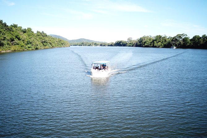 1-Hour Daintree River wildlife cruise - Refreshments and the different tour options