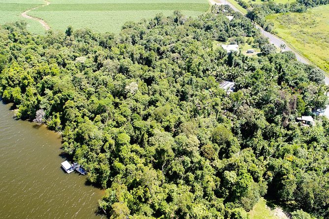 1-Hour Daintree River wildlife cruise - Practical details that affect your day