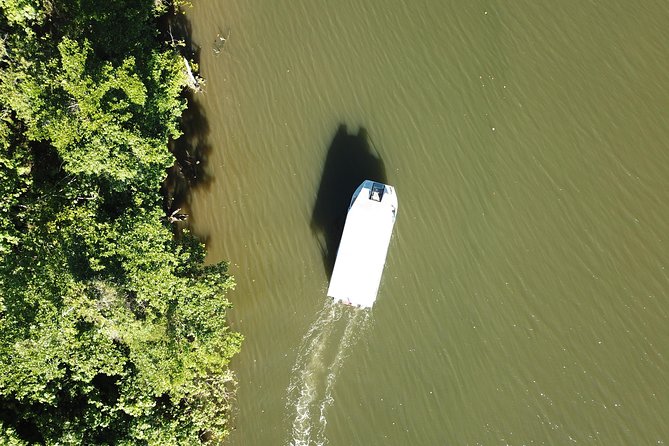 1-Hour Daintree River wildlife cruise - What happens during the one-hour cruise