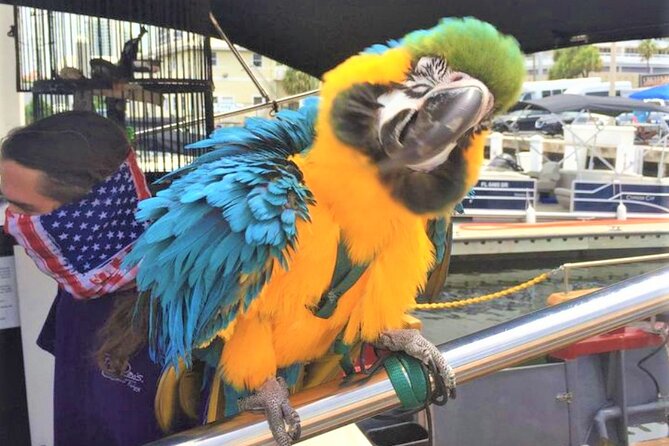 1-Hour Interactive Pirate Cruise (arrive 30 minutes early) - Bluefoot pirate fun on the Intracoastal Waterway