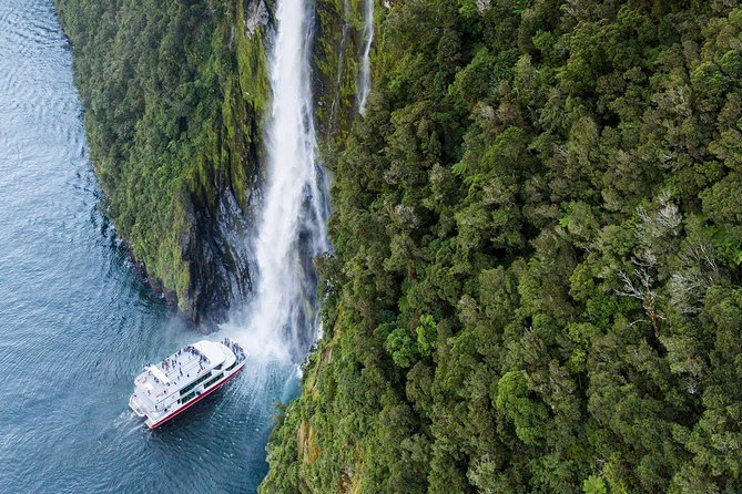 2-Hour Milford Sound Scenic Cruise - Wildlife watching without unrealistic expectations