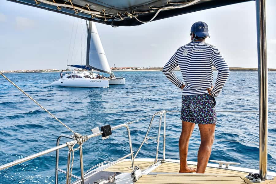 3-hour Catamaran Adventure on the waters of Sal Island - Wildlife sightings are a lucky extra