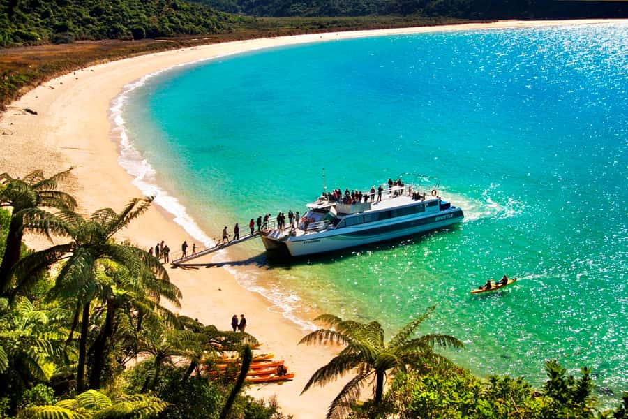 Abel Tasman: Sea Shuttle Cruise and Walking Tour Combo - Why the boat and walking combination works