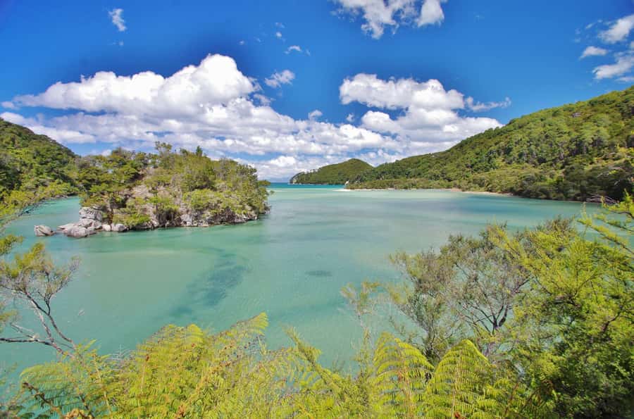 Abel Tasman: Sea Shuttle Cruise and Walking Tour Combo - Option B: the forest route, South Head, and Cleopatra’s Pool