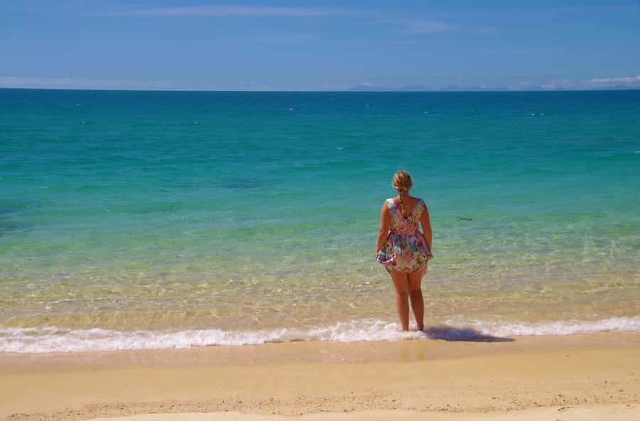 Abel Tasman: Sea Shuttle Cruise and Walking Tour Combo - Option C: five beaches from Awaroa to Medlands