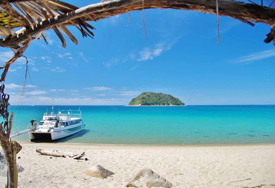 Abel Tasman: Sea Shuttle Cruise and Walking Tour Combo - Timing, pickup boats, and the price