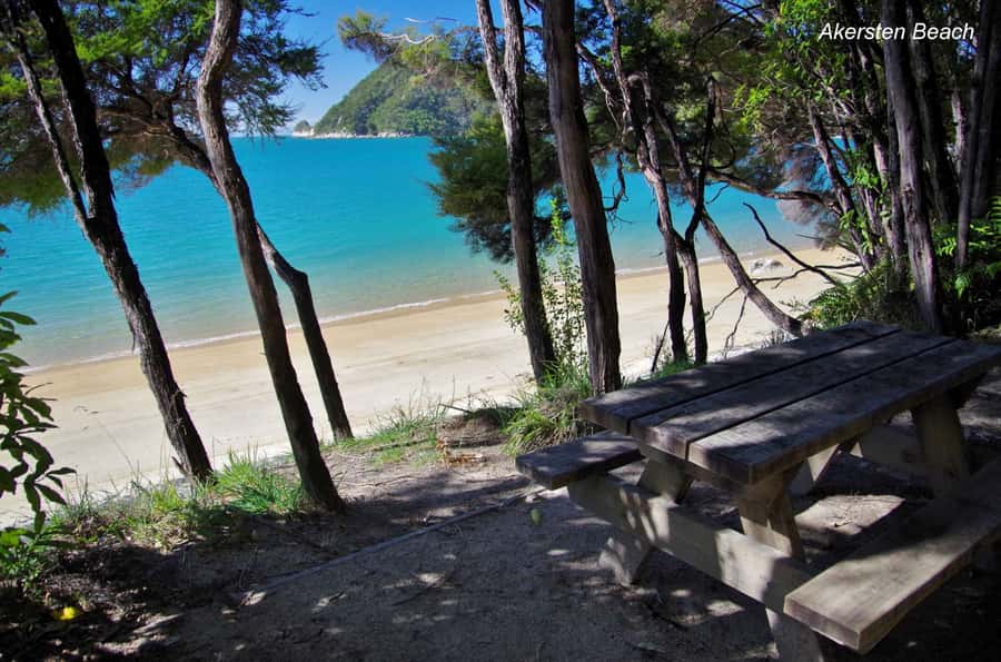 Abel Tasman: Sea Shuttle Cruise and Walking Tour Combo - Who should book this day out?