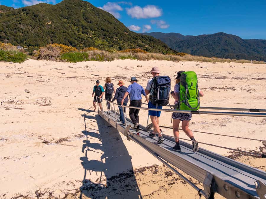 Abel Tasman: Sea Shuttle Cruise and Walking Tour Combo - Should you book the Abel Tasman Sea Shuttle combo?