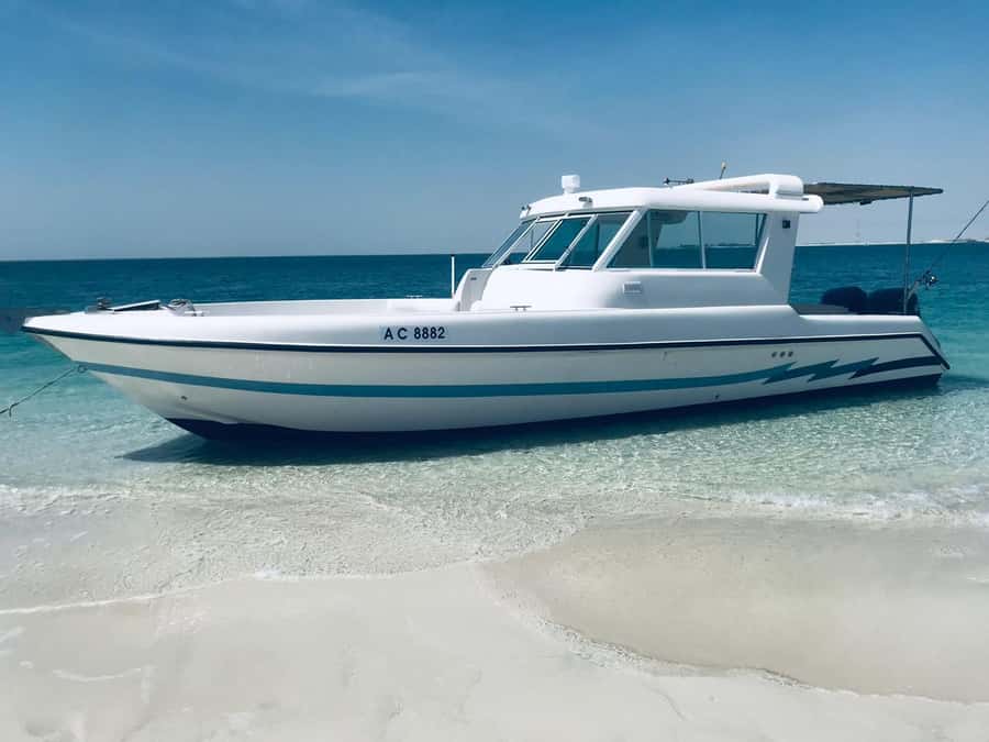 Abu Dhabi: 4-Hour Guided Cruise & Island Hopping - Abu Dhabi from the water, not from another observation deck