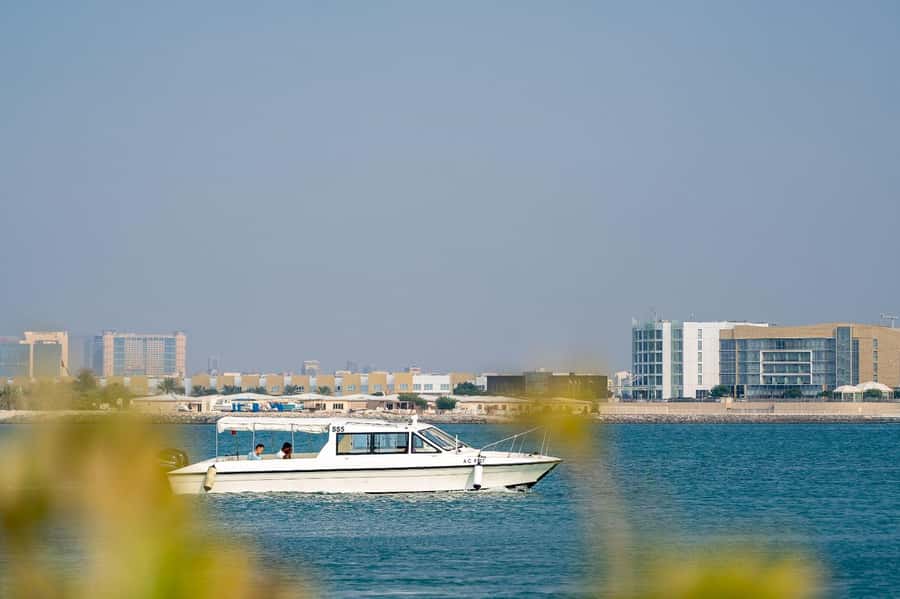 Abu Dhabi: 4-Hour Guided Cruise & Island Hopping - What to bring and how to make the day better
