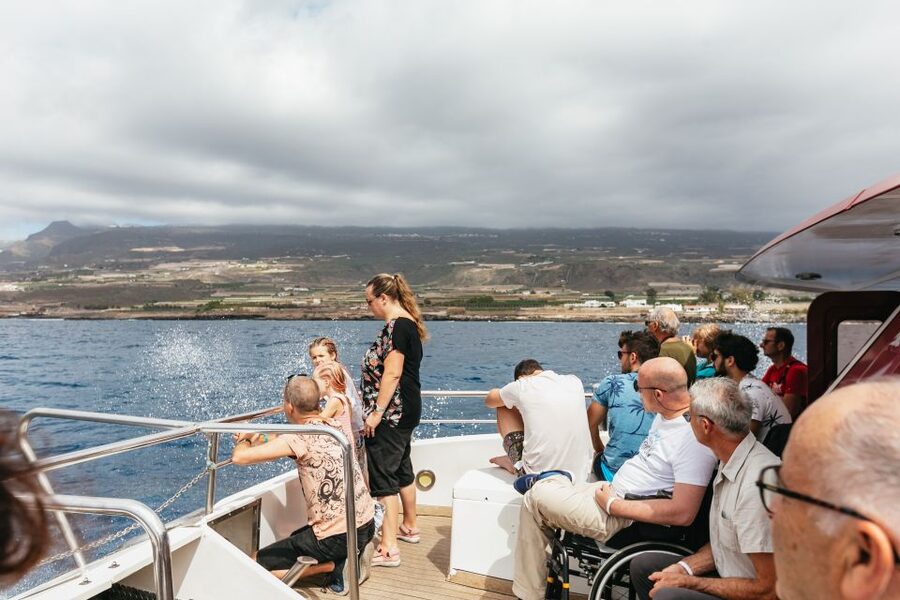 Adeje: Whale and Dolphin Watching Cruise with Lunch and Swim - Choosing Diego Hernandez Bay or Los Gigantes