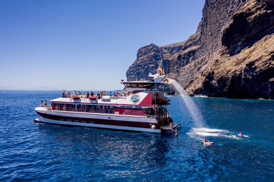 Adeje: Whale and Dolphin Watching Cruise with Lunch and Swim - The swim stop, lunch, and drinks