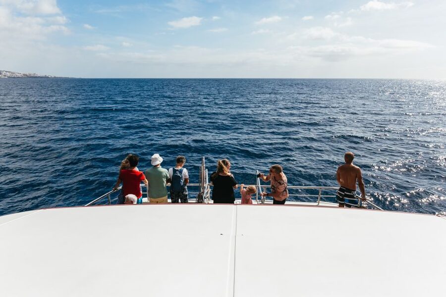 Adeje: Whale and Dolphin Watching Cruise with Lunch and Swim - Is $59 good value?