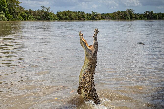 Adelaide River Cruises - Jumping Crocodile Experience - Key points to know before you book