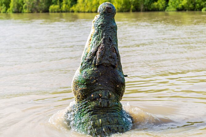 Adelaide River Cruises - Jumping Crocodile Experience - Leaving Darwin for the Adelaide River