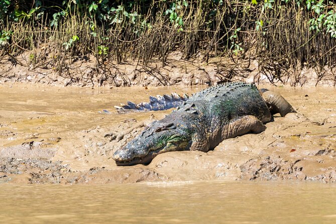Adelaide River Cruises - Jumping Crocodile Experience - The guides make a real difference