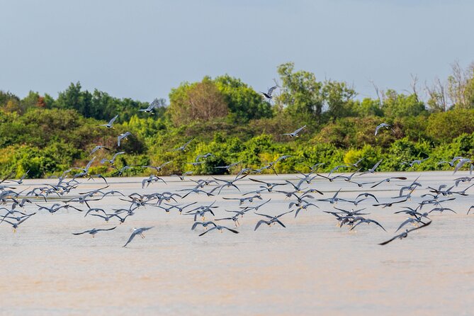 Adelaide River Cruises - Jumping Crocodile Experience - Who will enjoy this trip most