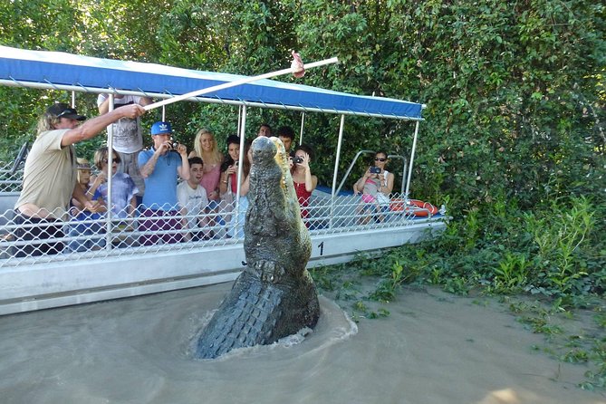 Adelaide River Cruises - Jumping Crocodile Experience - What happens during the one-hour boat trip