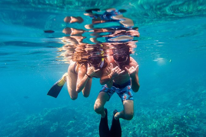 Afternoon Sail & Snorkel to the Captain Cook Monument - Who Will Enjoy This Most?