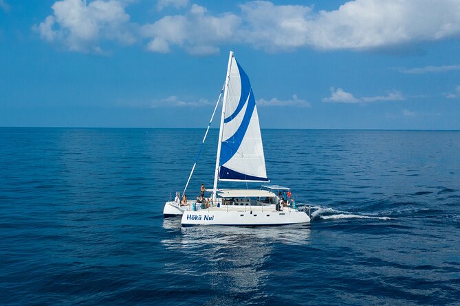 Afternoon Sail & Snorkel to the Captain Cook Monument - What You See Underwater