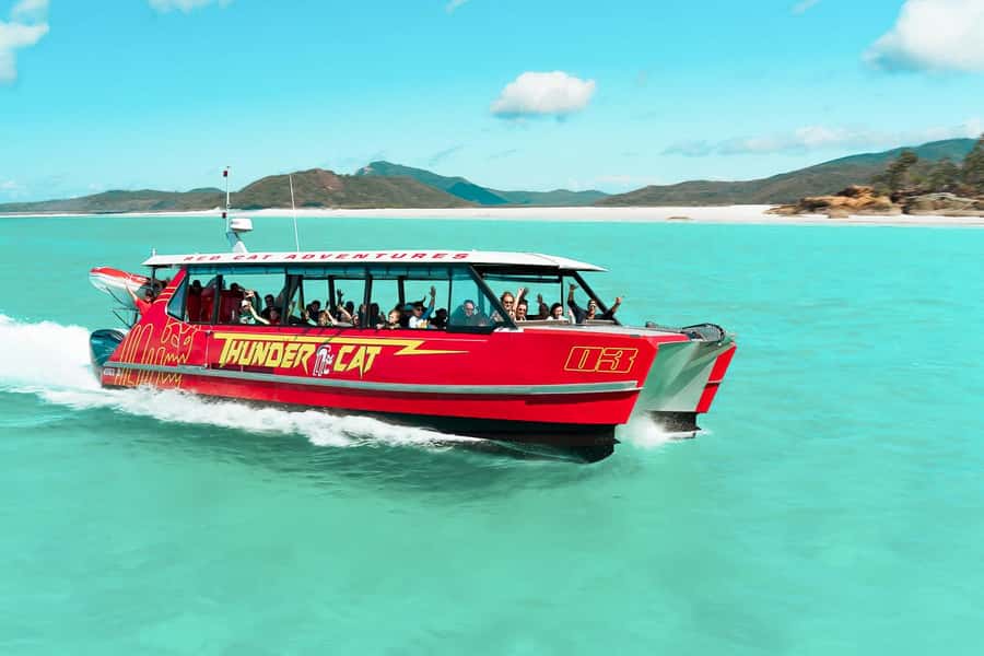 Airlie Beach: Whitehaven Full-Day Eco-Cruise with Buffet - Key points before you book