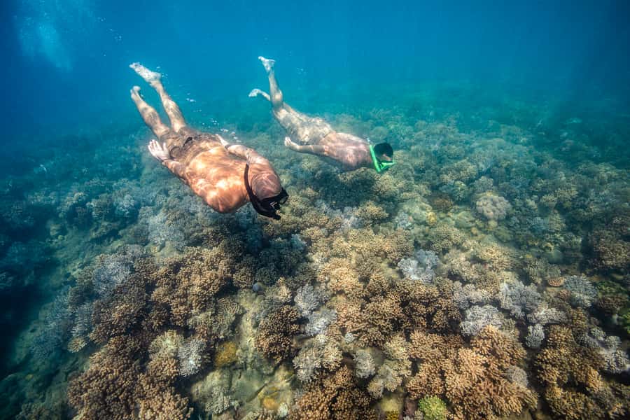 Airlie Beach: Whitehaven Full-Day Eco-Cruise with Buffet - Who will enjoy this cruise most?