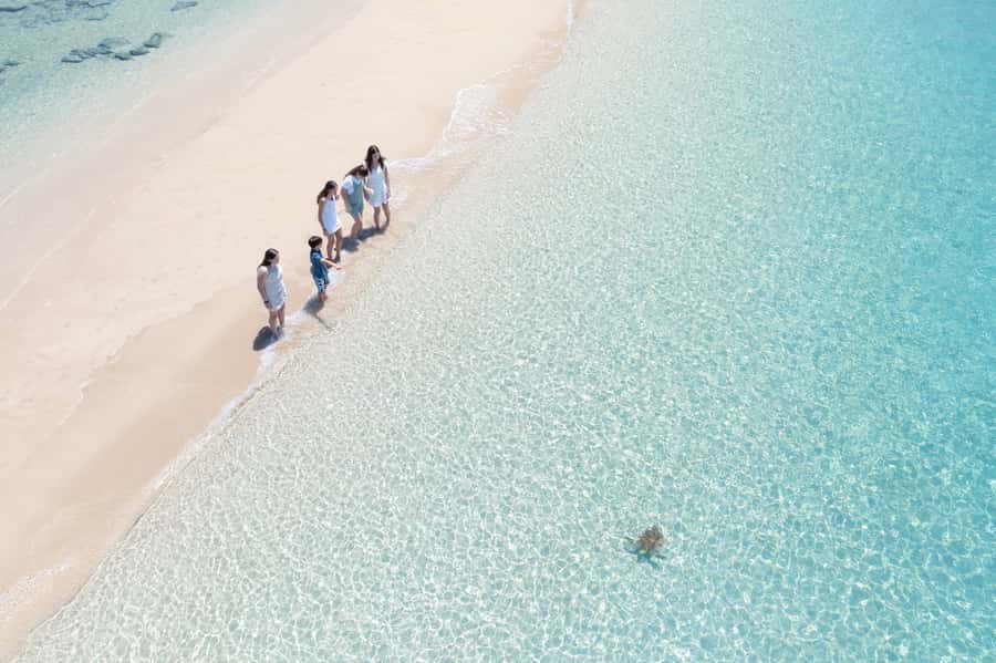 Airlie Beach: Whitehaven Full-Day Eco-Cruise with Buffet - Should you book the Whitehaven eco-cruise?