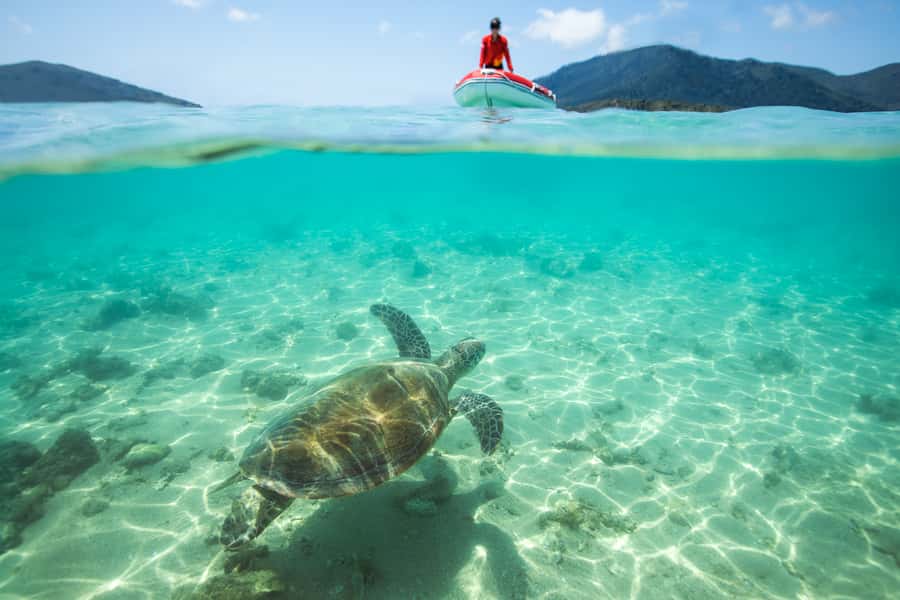 Airlie Beach: Whitehaven Full-Day Eco-Cruise with Buffet - Two snorkel stops around Hook Island