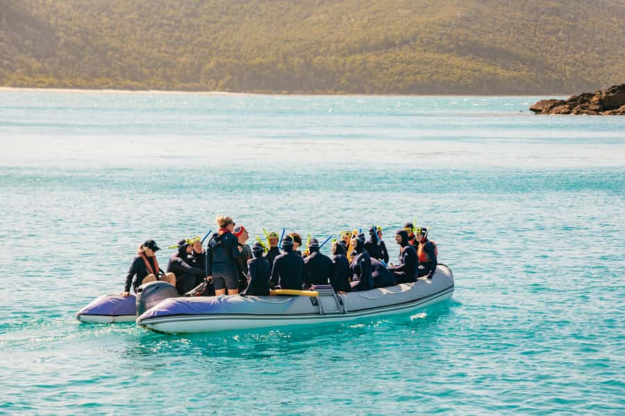 Airlie Beach: Whitsundays Full-Day Camira Sailing Adventure - Key points to know before booking