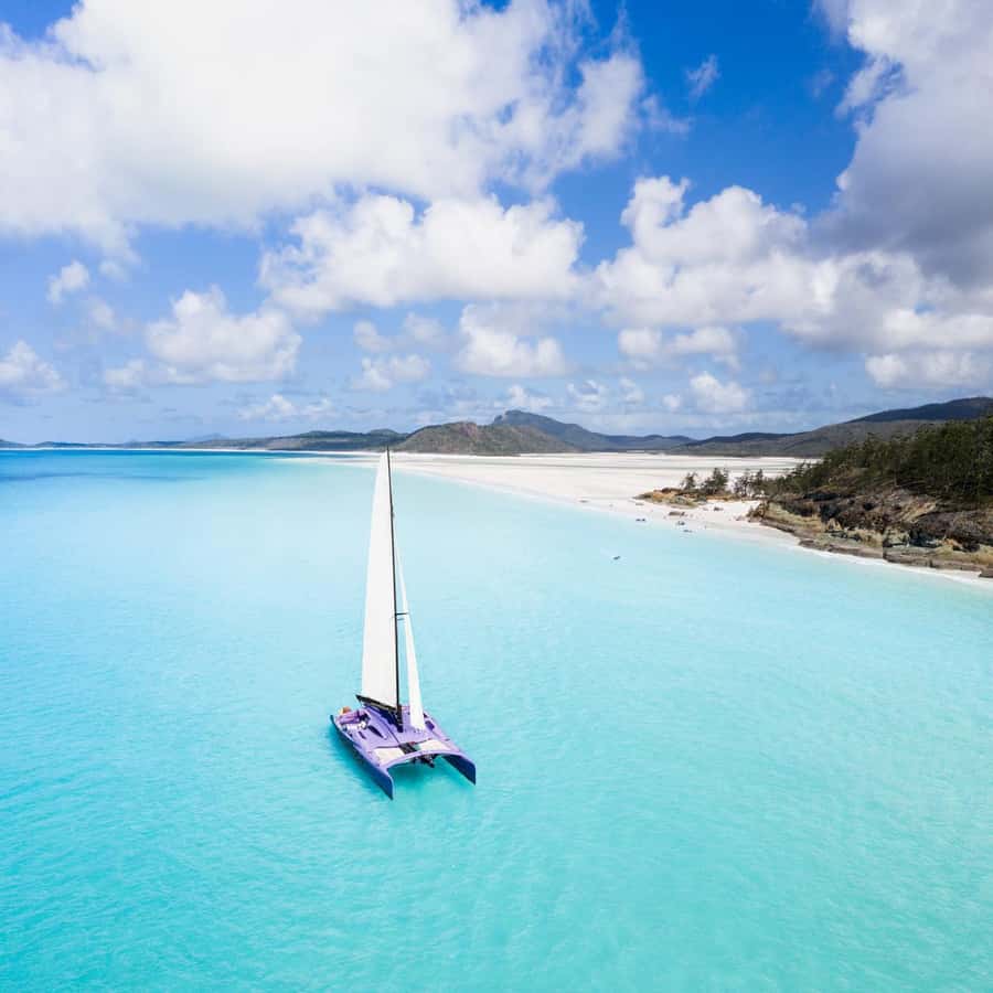 Airlie Beach: Whitsundays Full-Day Camira Sailing Adventure - Snorkeling at a fringing reef
