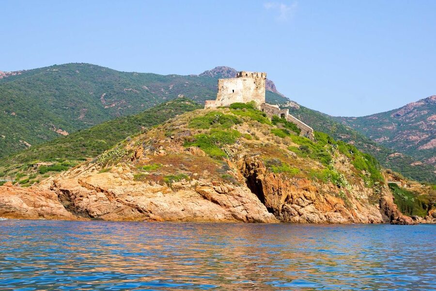 Ajaccio/Porticcio: Scandola Nature Reserve Guided Boat Tour - Scandola Nature Reserve: cliffs, caves, and protected water