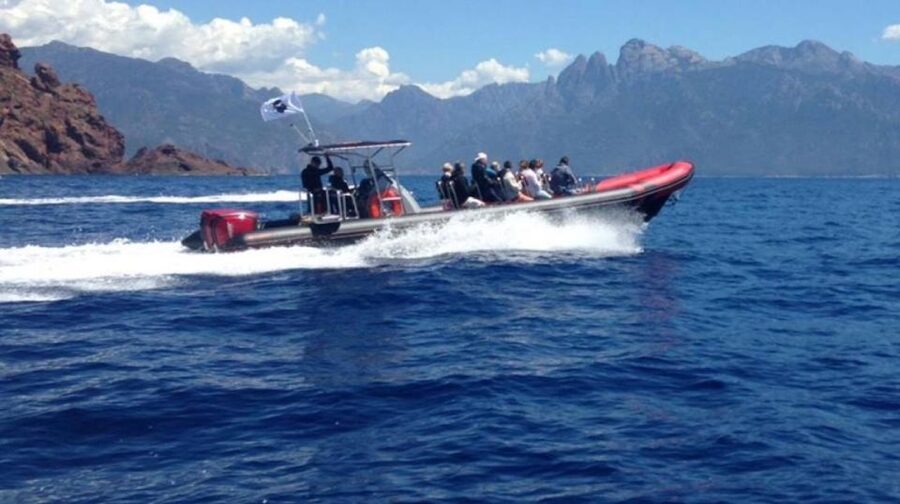 Ajaccio/Porticcio: Scandola & Piana Semi-Rigid Boat Day Trip - The return ride and what the boat experience feels like