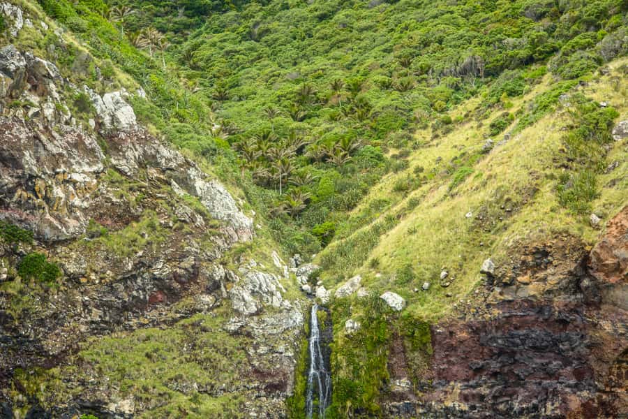 Akaroa: Dolphin Nature Cruise - Commentary that connects wildlife with local history