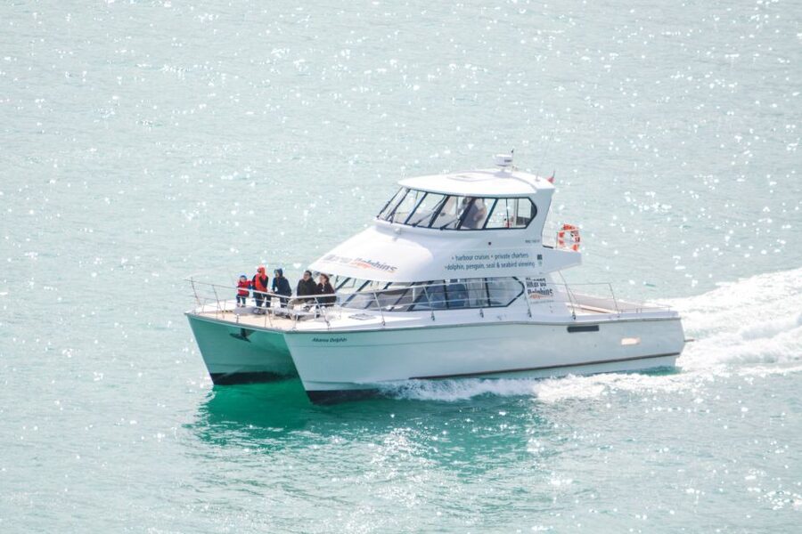Akaroa: Dolphin Nature Cruise - Is $77 good value for two hours?