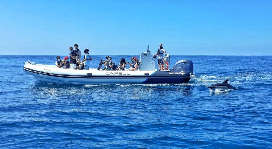 Albufeira: Benagil Cave and Dolphin Sightseeing Boat Cruise - Key points to know before you go