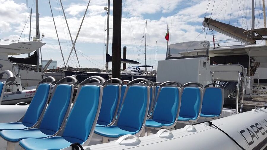 Albufeira: Benagil Cave and Dolphin Sightseeing Boat Cruise - What to expect at Benagil Cave