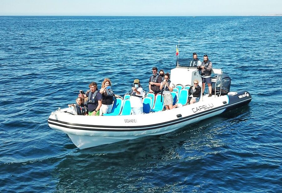Albufeira: Benagil Cave and Dolphin Sightseeing Boat Cruise - Searching for dolphins in the open sea