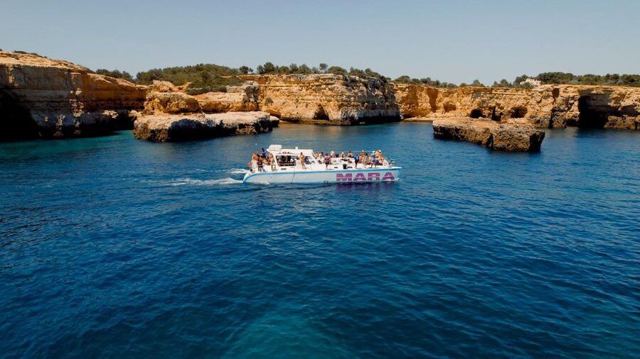 Albufeira: Caves and Coastline Catamaran Cruise to Benagil - Who should book this cruise?