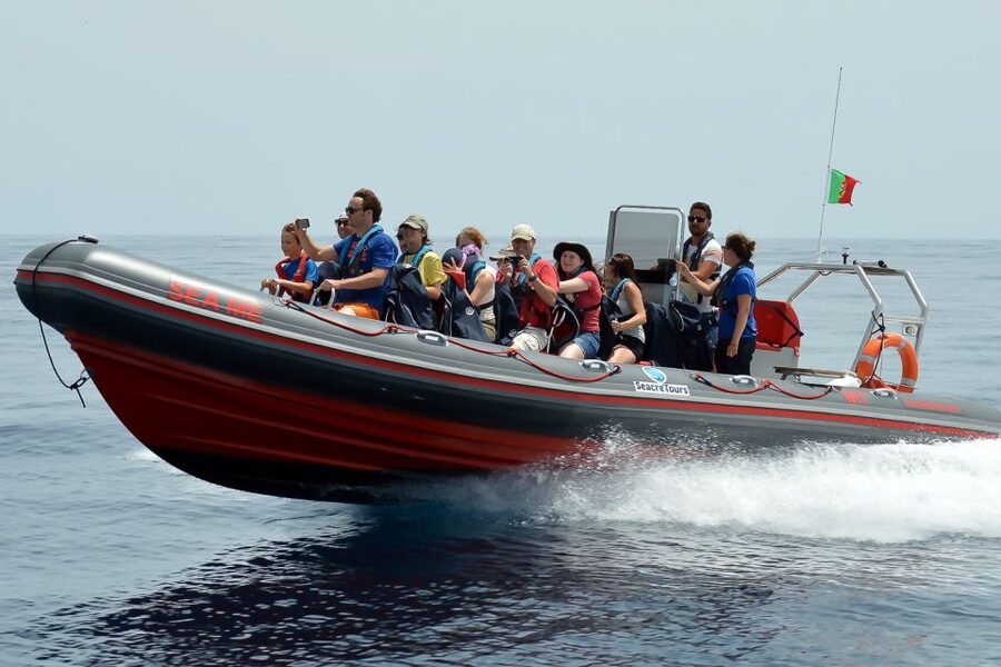 Albufeira: Dolphin Watching and Benagil Cave Boat Cruise - Searching for dolphins in open water