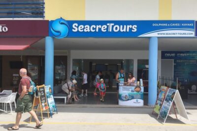 Dolphin Watching and Benagil Cave Boat Cruise