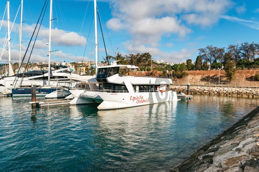 Albufeira: Sightseeing Cruise with Beach BBQ and Open Bar - Paddleboards, snorkeling, and beach games