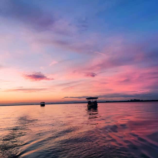 Albufera de Valencia: boat ride and visit to a barraca - The best time to go