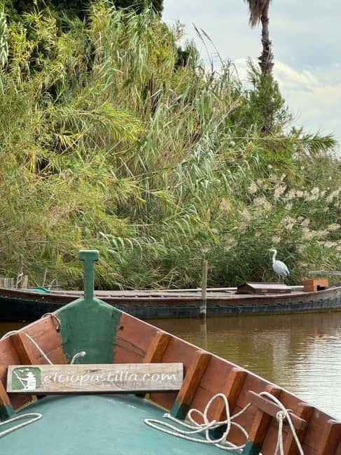 Albufera Valencia: Guided electric boat ride, also at sunset - The 45-minute electric boat ride