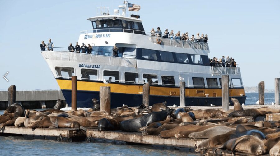 Alcatraz Island Prison Tour & Bay Cruise Combined Package - Who will get the most from this package