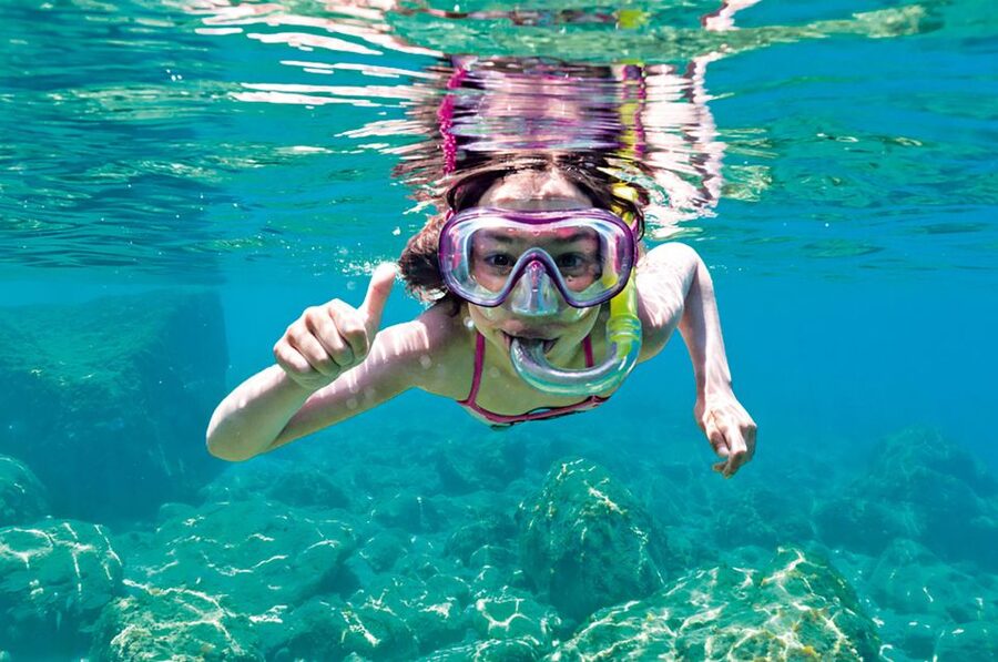Alcudia: Boat Trip to Coll Baix - What the glass bottom is really like