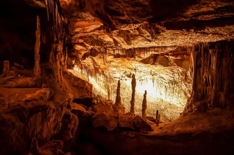 Alcudia: Caves of Drach Tour from the North with Boat Trip - Key points to know before booking