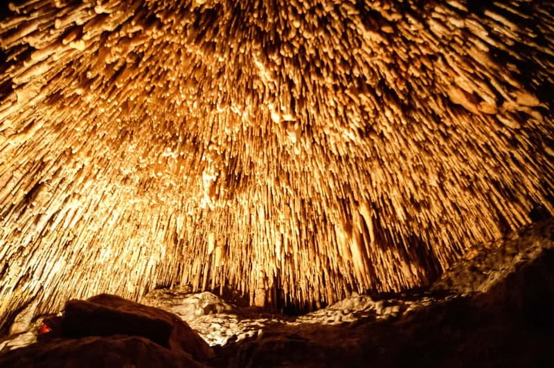 Alcudia: Caves of Drach Tour from the North with Boat Trip - The Majorica pearl showroom: useful stop or shopping detour?
