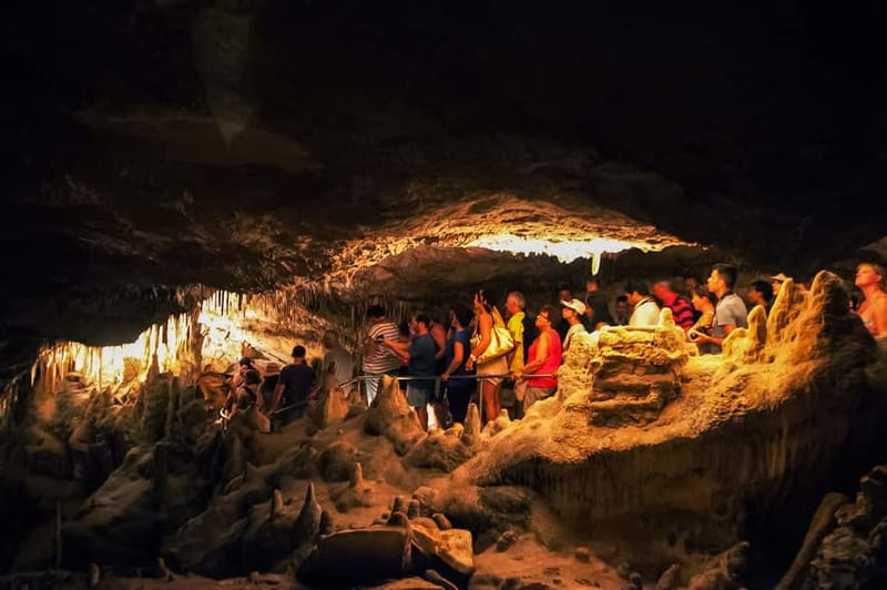 Alcudia: Caves of Drach Tour from the North with Boat Trip - The Lake Martel boat ride
