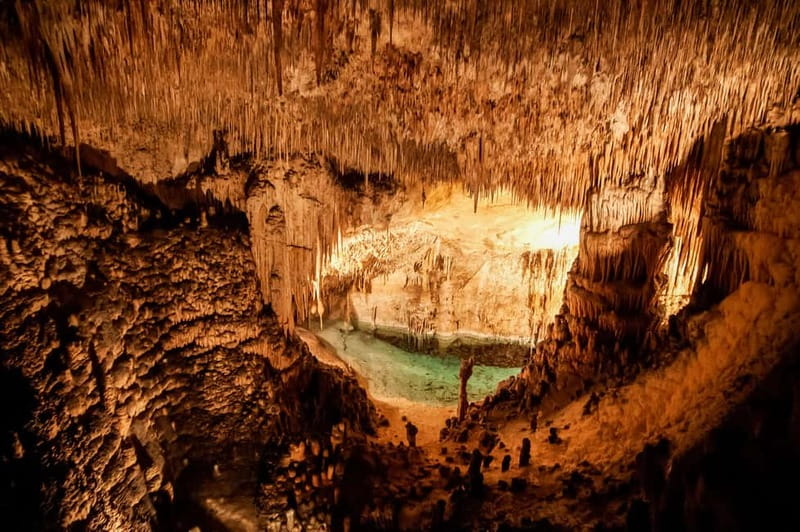 Alcudia: Caves of Drach Tour from the North with Boat Trip - Is $63 good value?