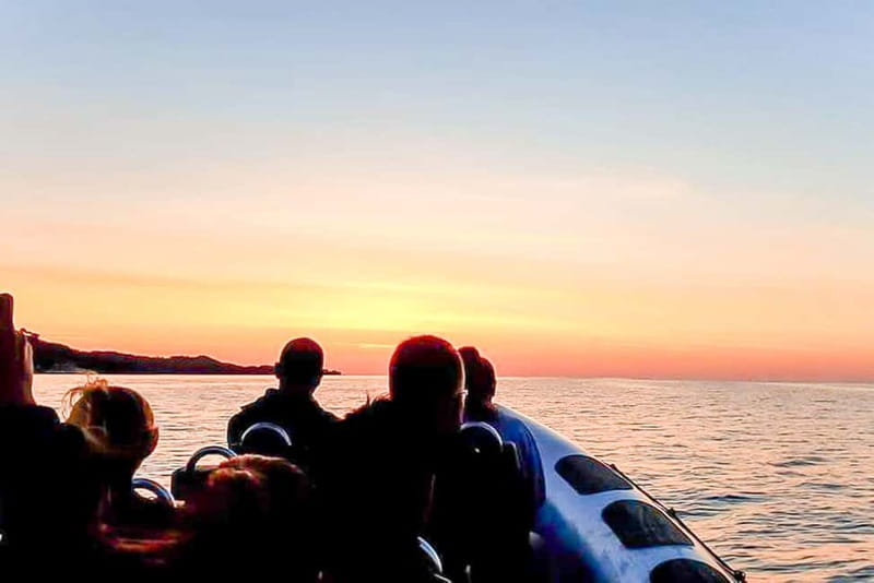 Alcudia: Formentor Beach, Lighthouse Cruise, and Small Group - What the ride feels like on a small speedboat